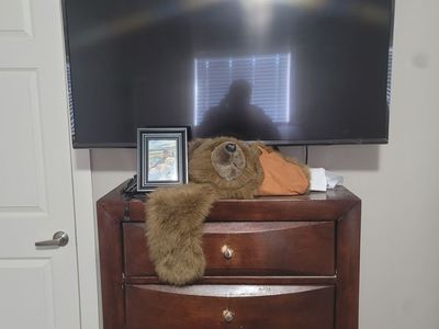 49 inch LG flat screen TV