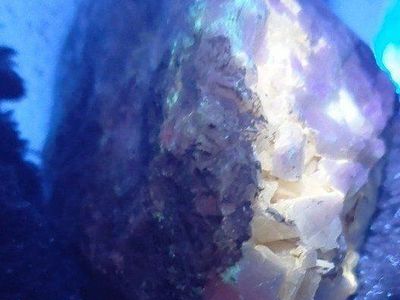 looking for information