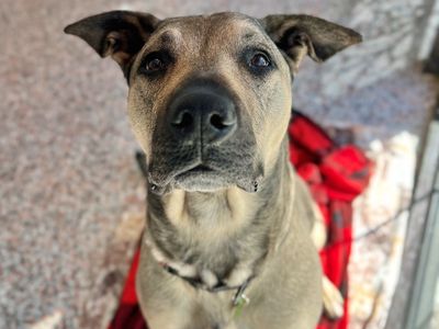 Hello my name is Poblano