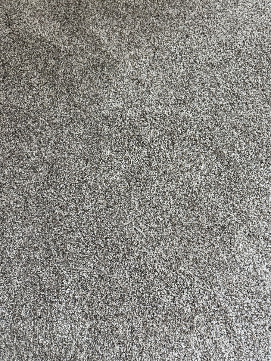 New Carpet