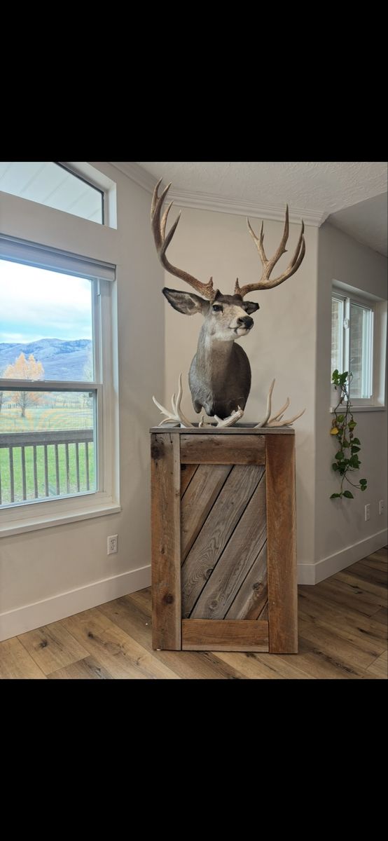 Deer Pedestal Mount