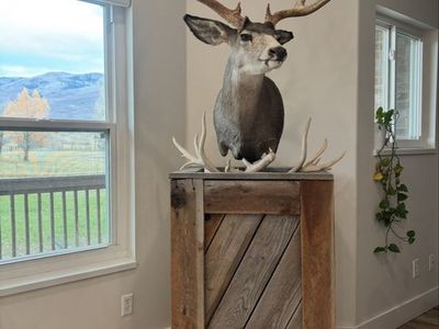 Deer Pedestal Mount