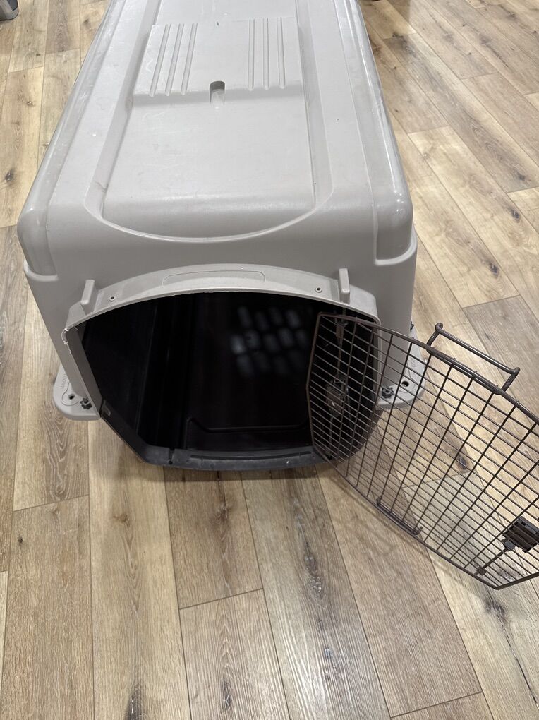 Used Large Dog Kennel