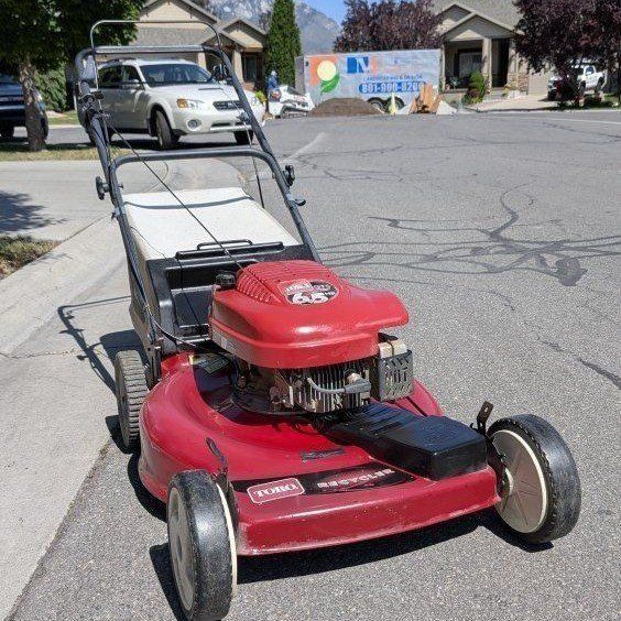 Toro recycler (22-inch)