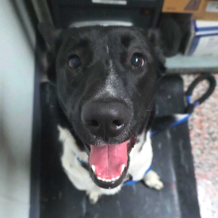 Hello my name is Coral