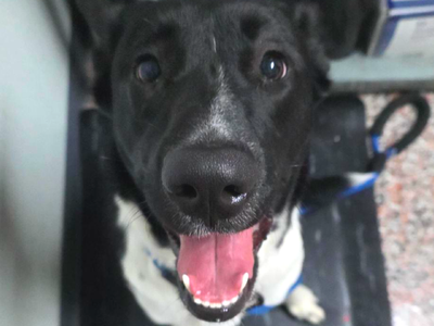 Hello my name is Coral