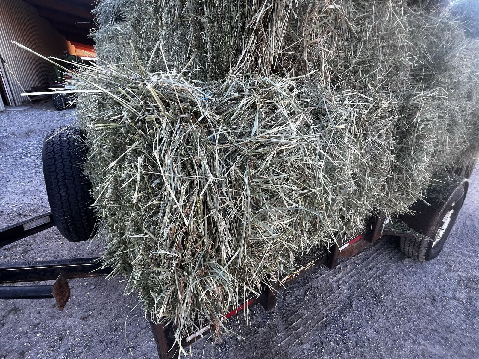 Grass hay