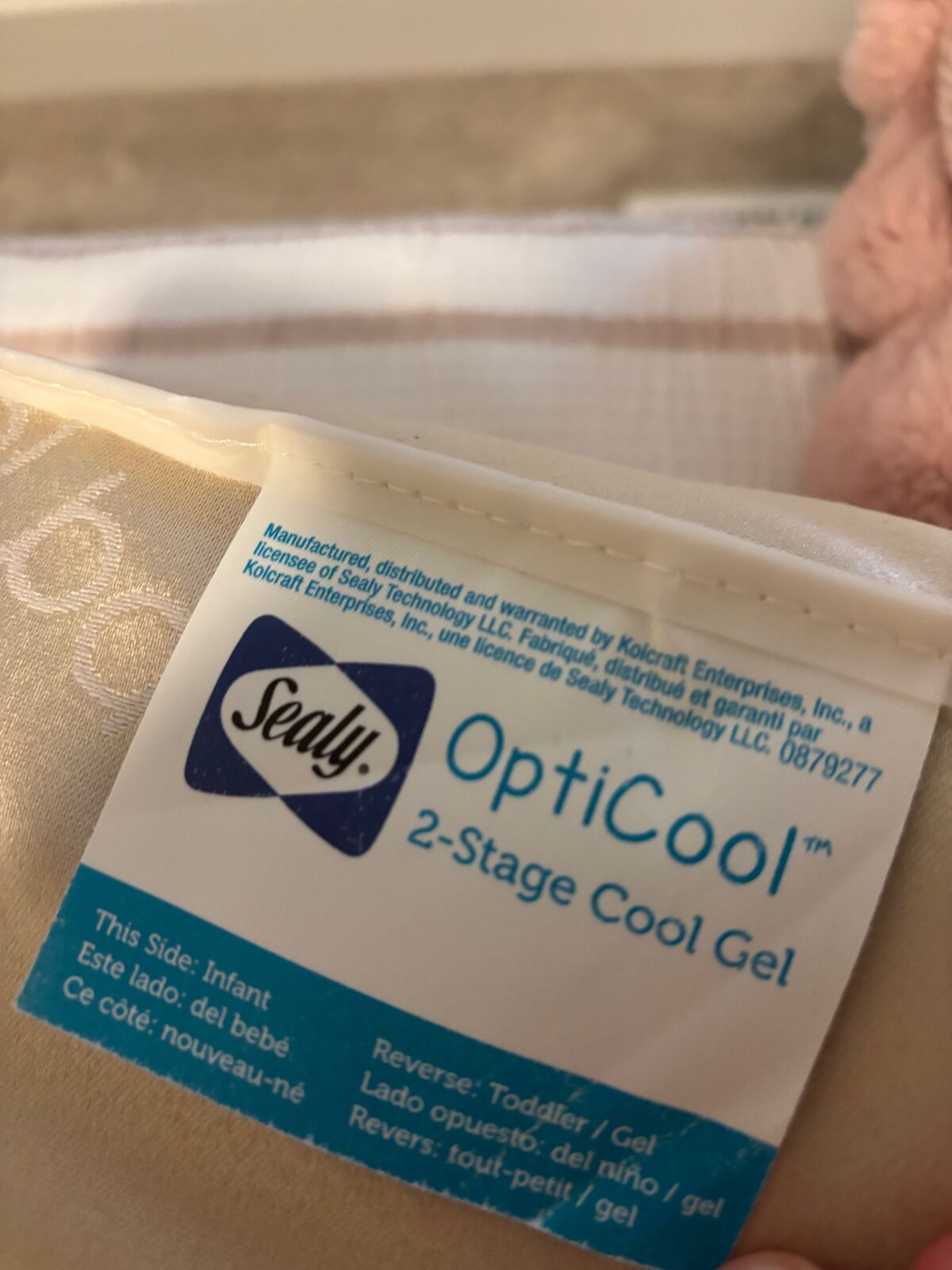 FREE - Sealy Baby or Todler Mattress