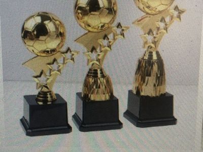 Soccer Trophies. Buy it at www.futboldiamante.com