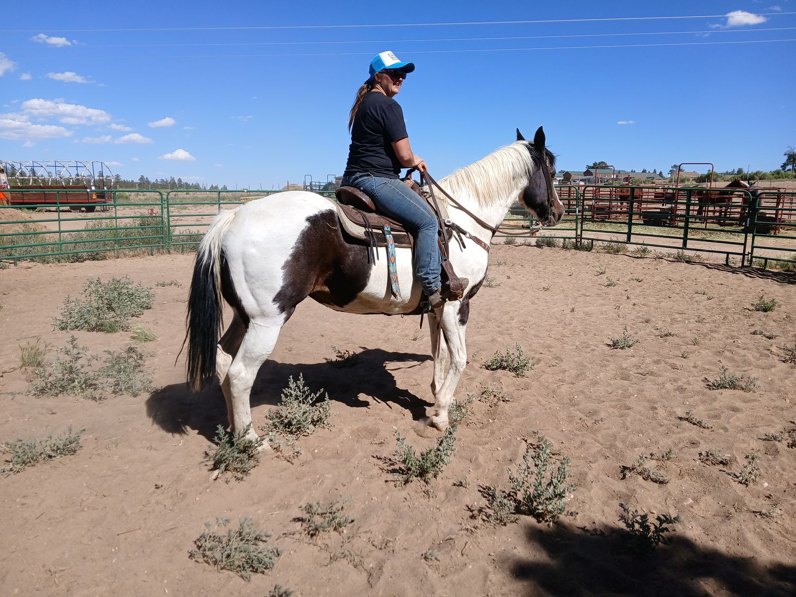 Big pretty paint mare