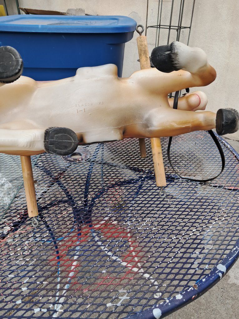 Main image 15