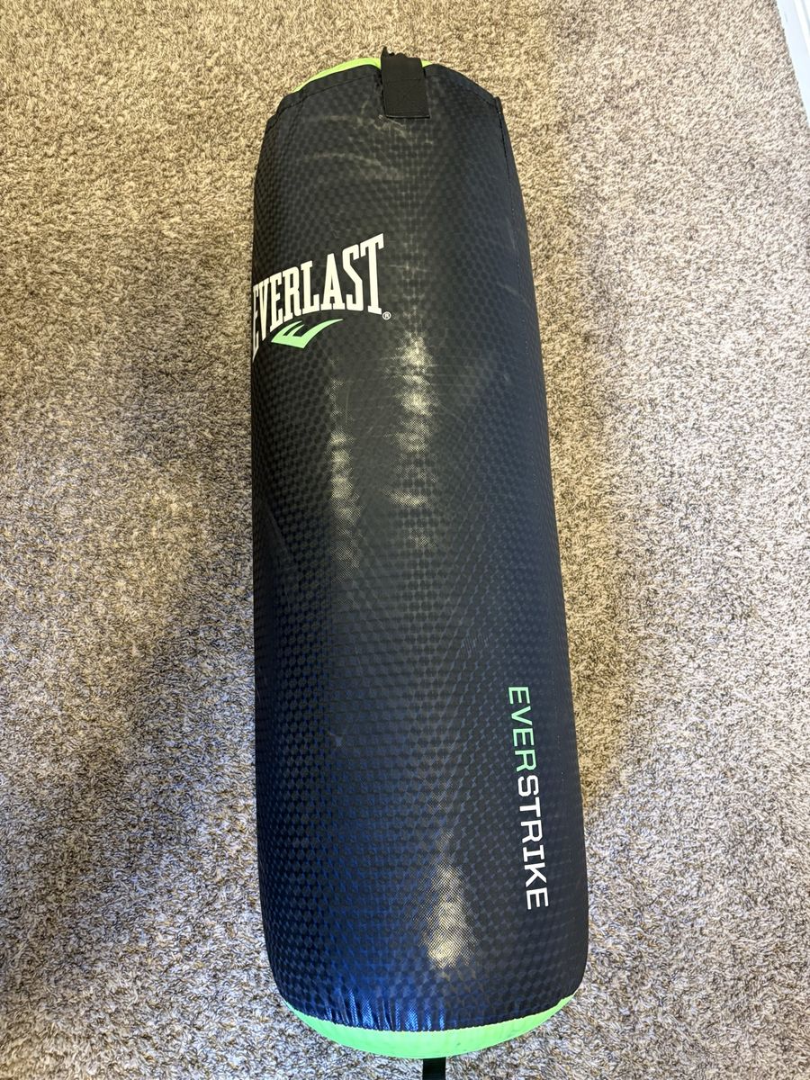 Everlast Punching Bag With Stand And Gloves