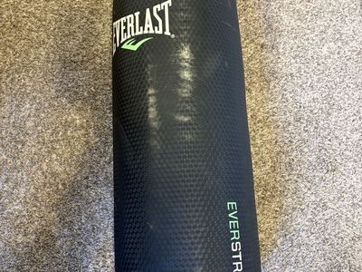 Everlast Punching Bag With Stand And Gloves