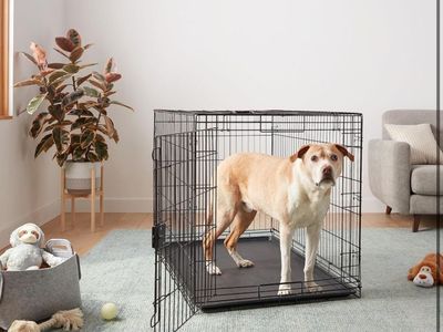 New Xl Dog Crate Kennel EXtra Large 42"