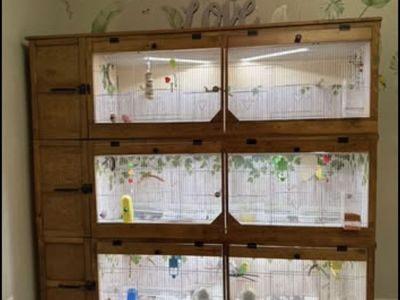 Incredible and amazing custom built birdcage FIRM on price