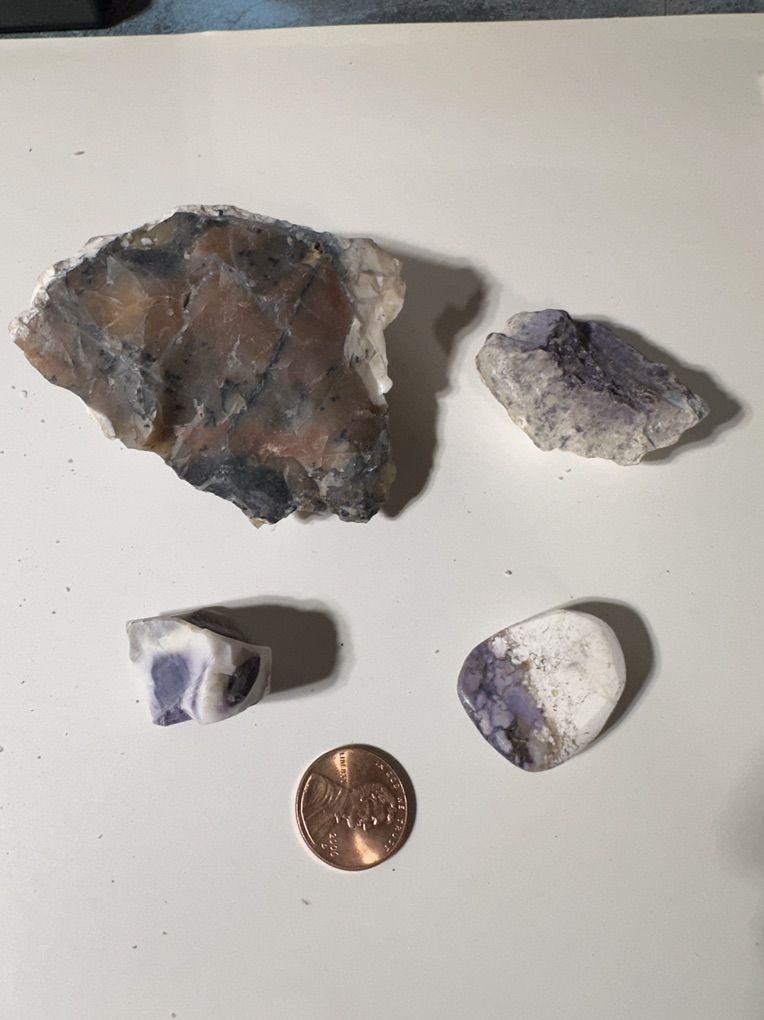 Main image 11