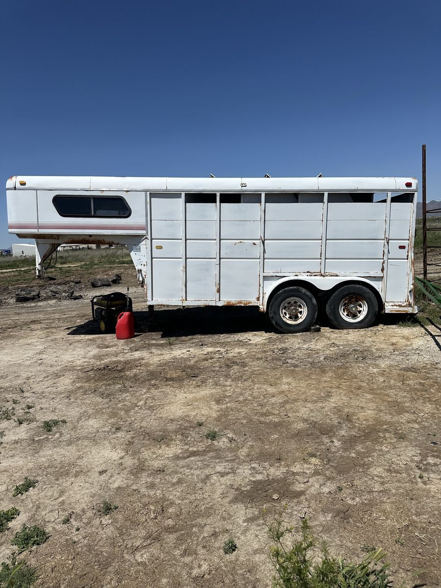 3 horses trailer