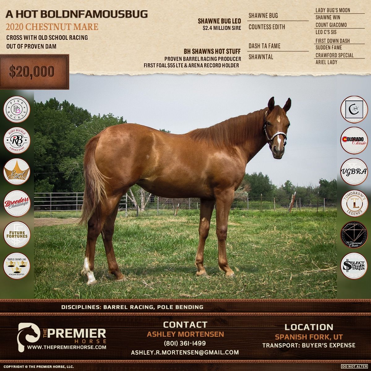 Shawnee Bug Leo x Dash Ta Fame daughter