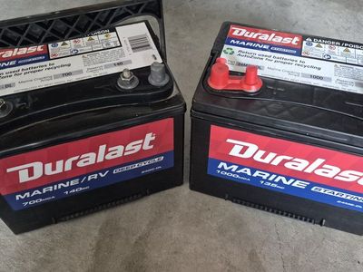 2 rv marine/rv 12v batteries