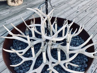 Vintage Real 12 Shed Antler Chandelier