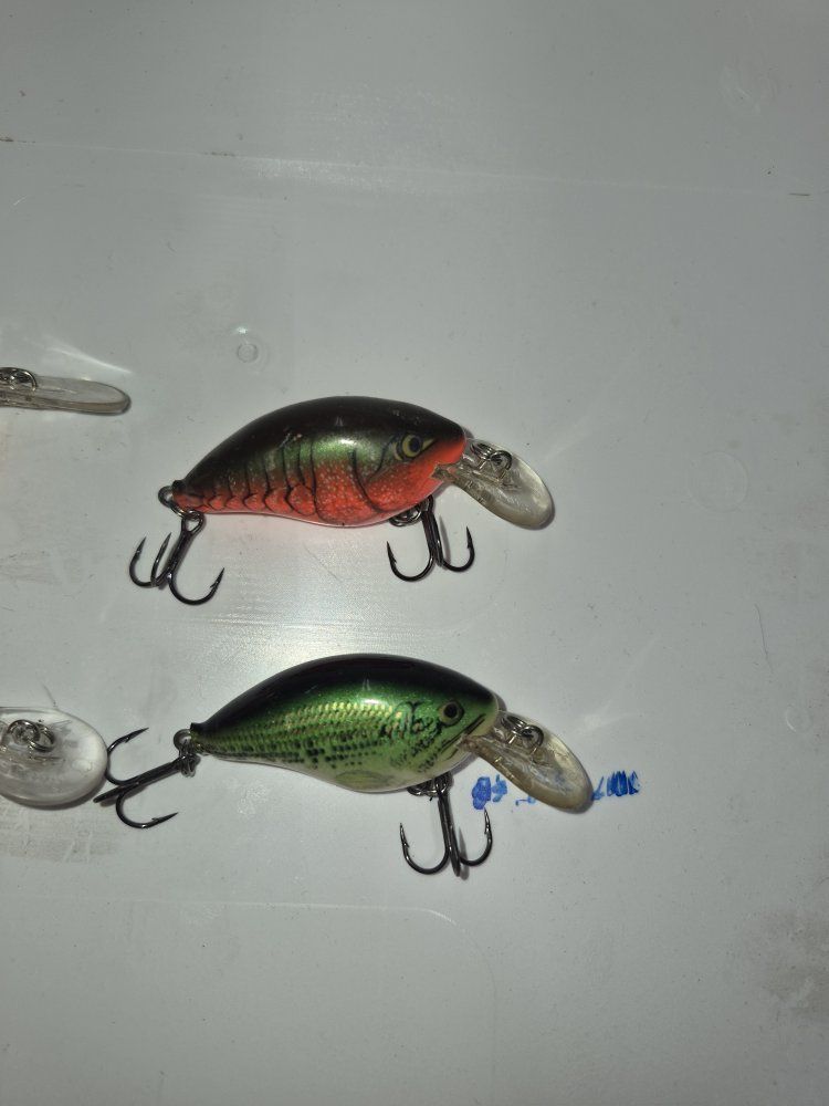 rapala fishing lures