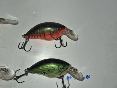 rapala fishing lures