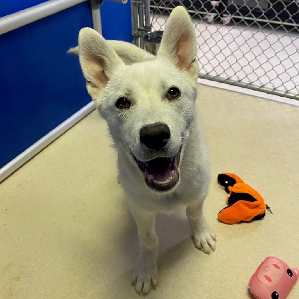 Hello my name is Cash