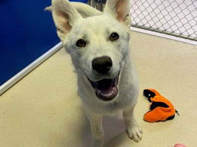 Hello my name is Cash