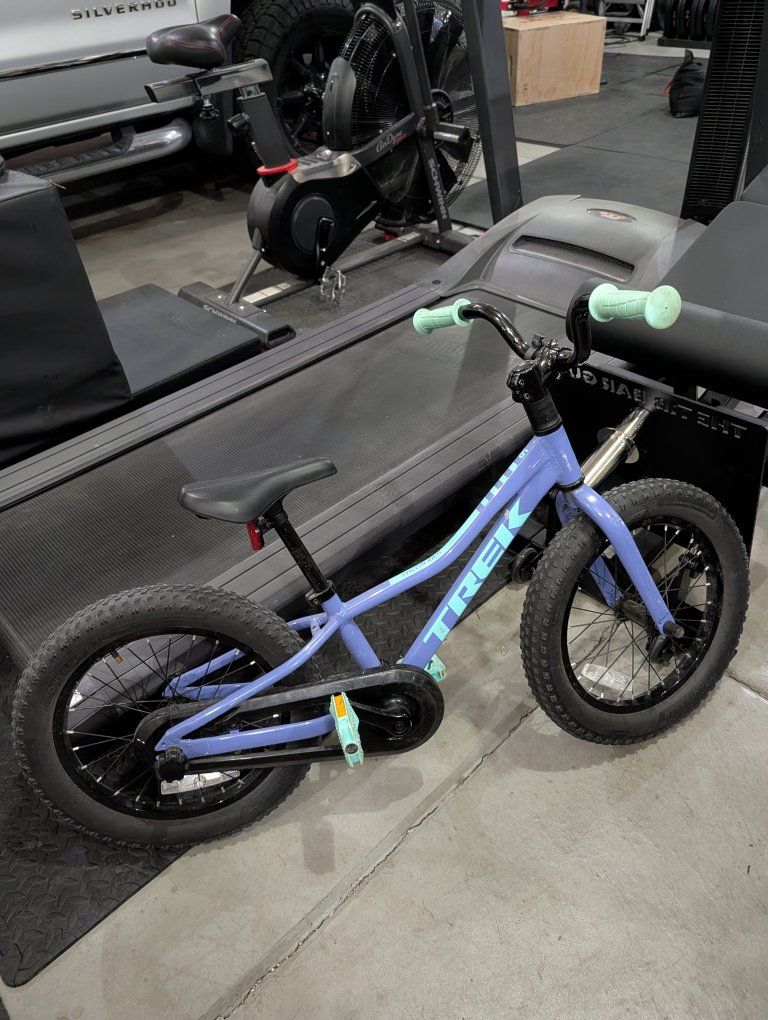 Trek Precaliber 16 Kids' Bike, Purple, 16 inch wheels