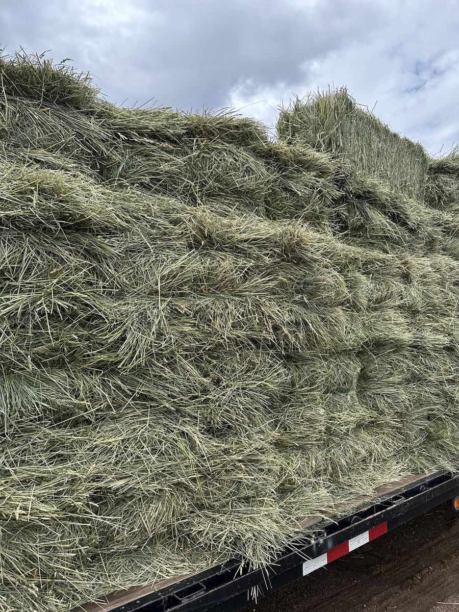 2 string grass/alfalfa bales