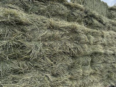 2 string grass/alfalfa bales