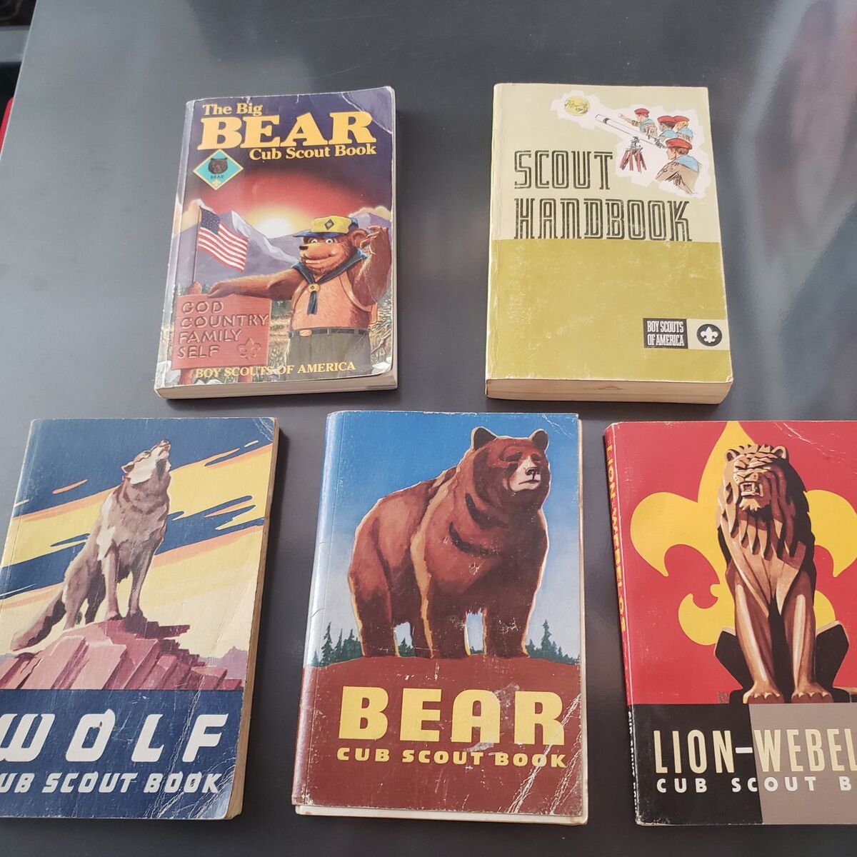 Cub Scout Boy Scout Handbooks