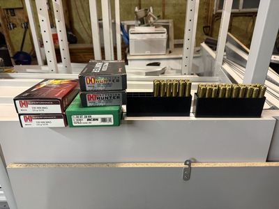 338 Win Mag Dies/Ammo