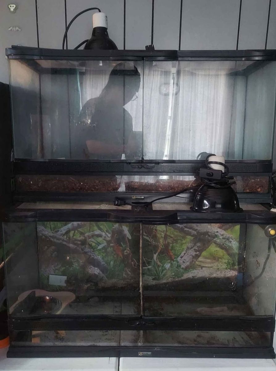 25 Gallon Zoo Med Naturalistic Double Door Front Opening Terrariums
