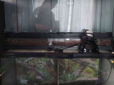 25 Gallon Zoo Med Naturalistic Double Door Front Opening Terrariums
