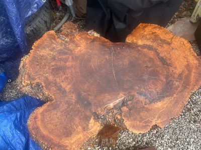 Coffee Table Natural redwood