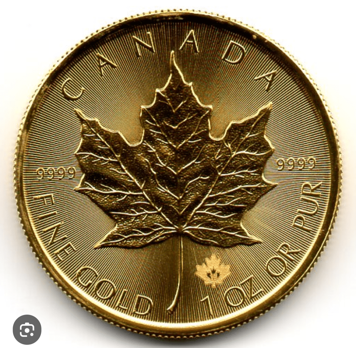 1oz 24k BU Maple leaf coin(s), 1% over spot