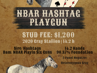 NBAR Hashtag Playgun 2020 Gray Stallion