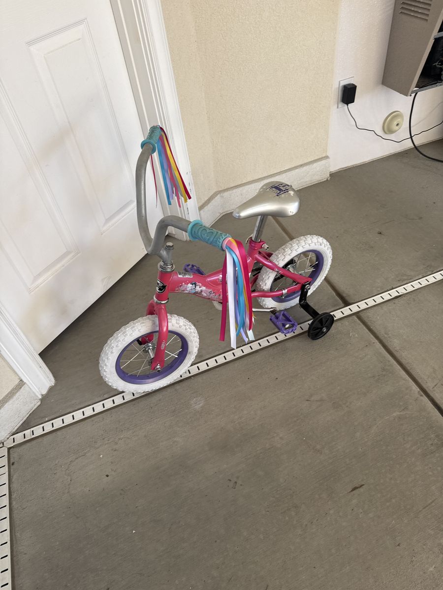 12 Inch Princess Bike