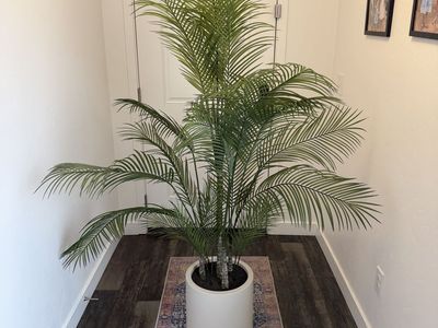Faux 6.5’ Palm Tree with Smooth Planter from Costco