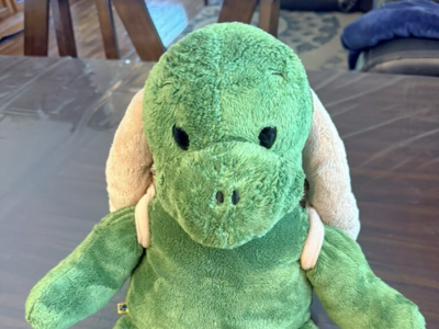 Build A Bear Turtle With Removable Shell