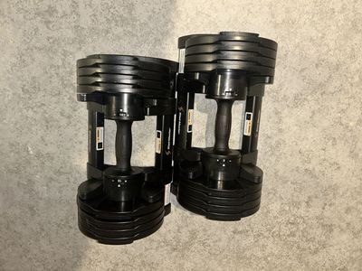 StairMaster Adjustable Dumbbells: Set