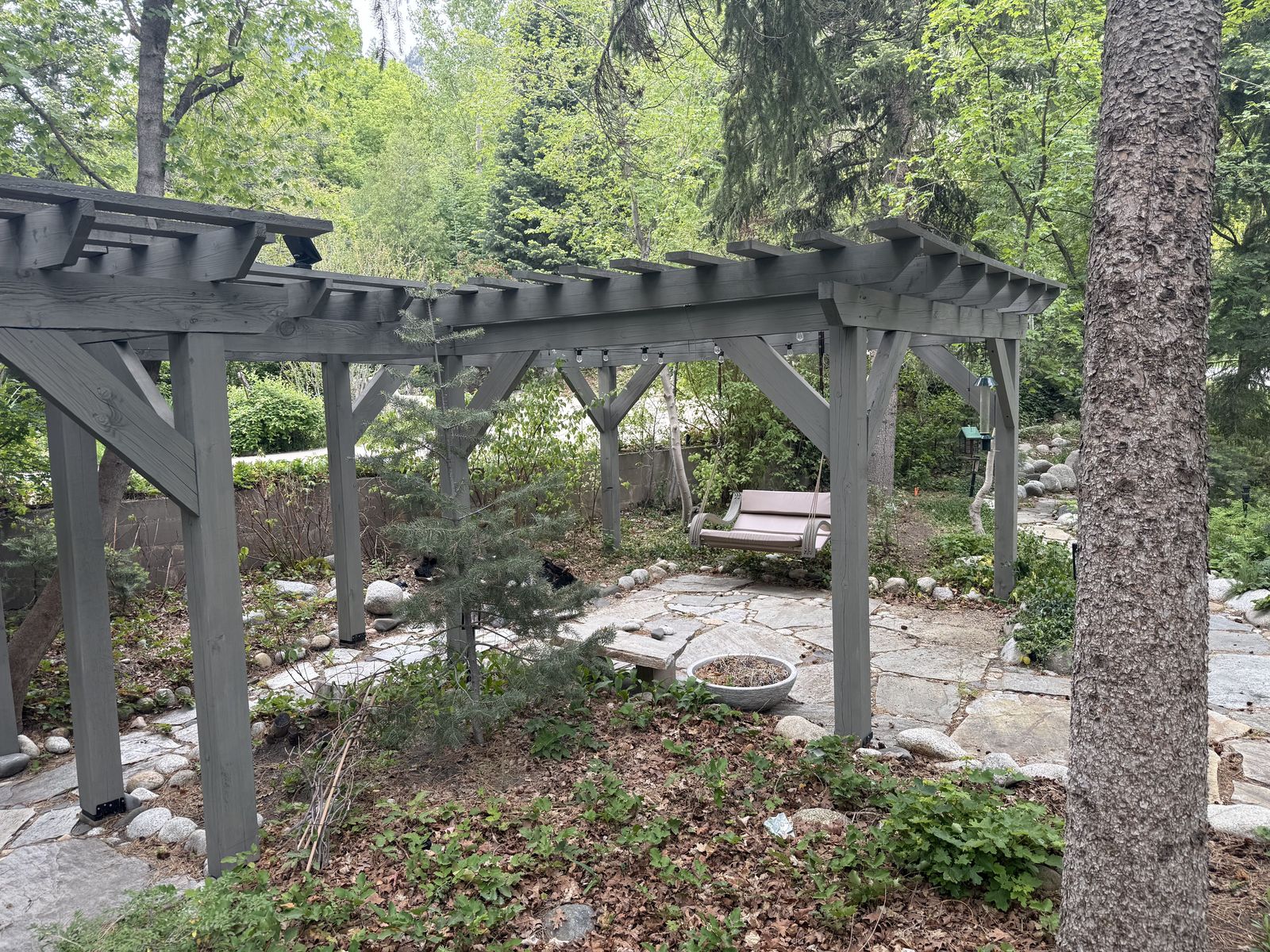 Main image 7