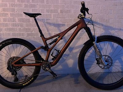 2023 Specialized Stumpjumper EVO S4 (Large)- Custom Build: Berd Carbon Wheels & Pike Ultimate