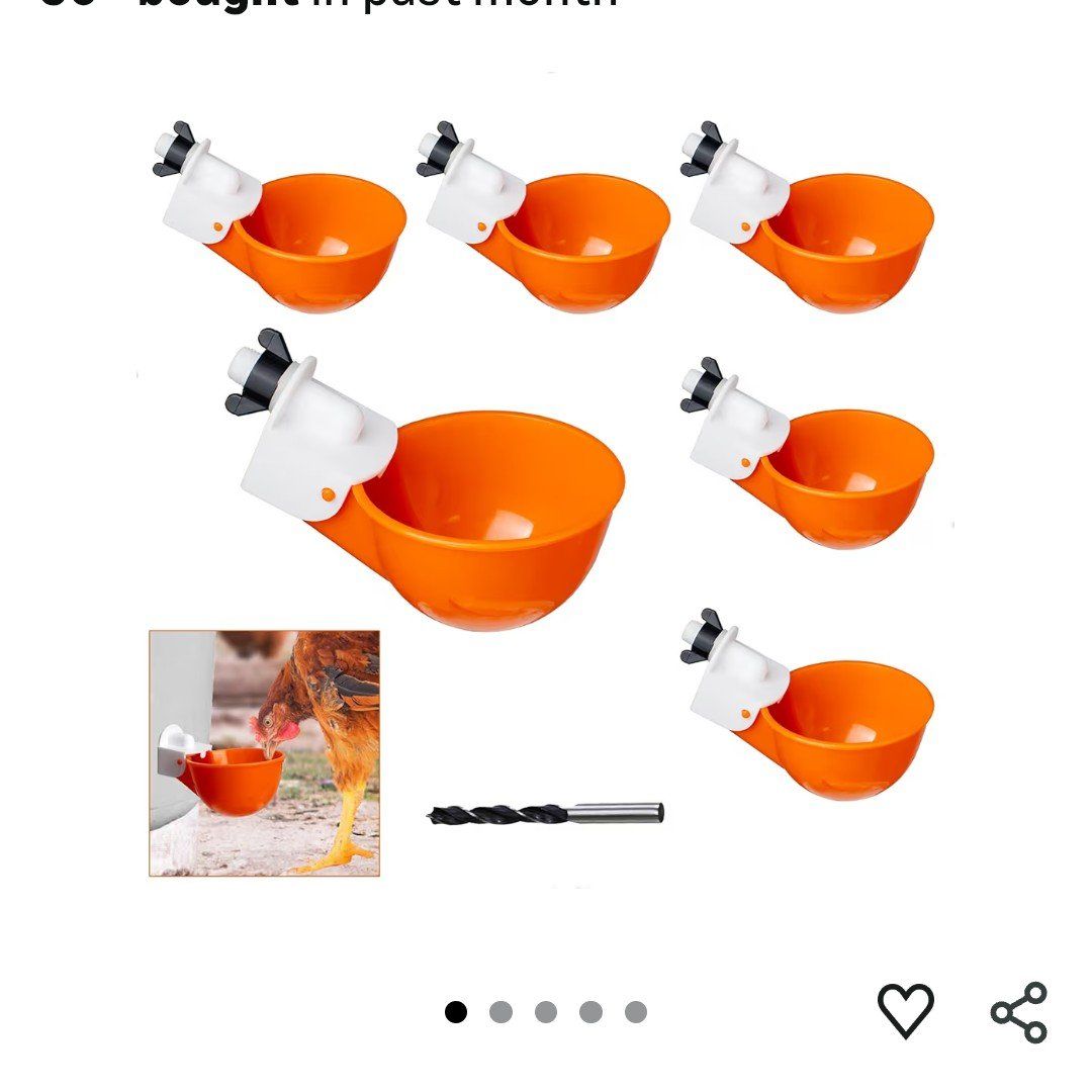 Auto chicken quail rabbit pheasant waterer cup (6)