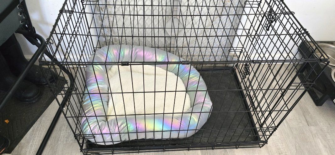 Large Dog crate/cage