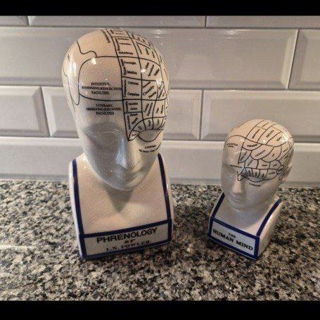 Phrenology Head & Human Mind Ceramic Busts - L.N. Fowler Style Decor Set