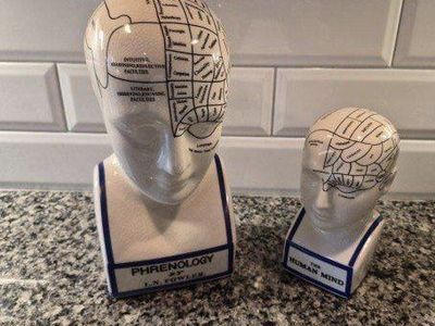 Phrenology Head & Human Mind Ceramic Busts - L.N. Fowler Style Decor Set