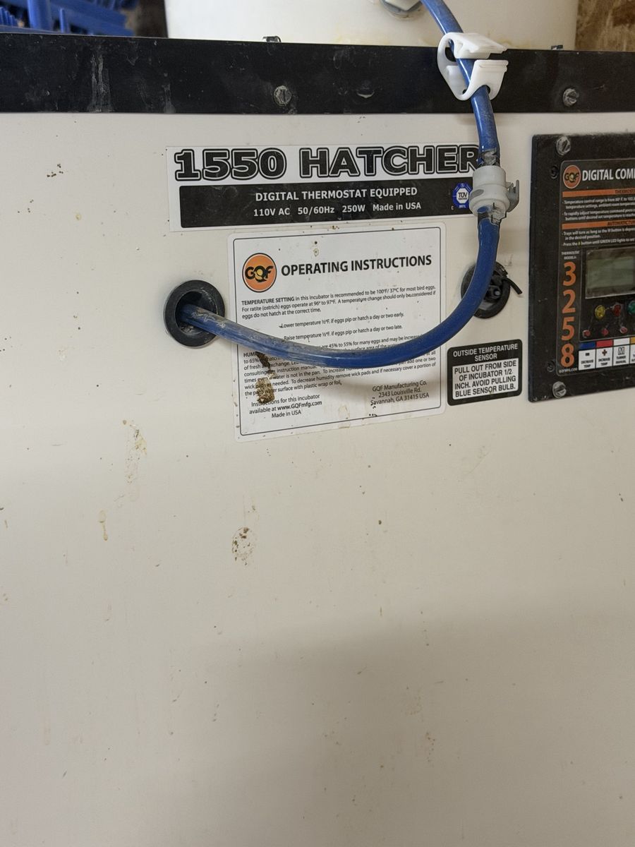 GQF 1550 Hatcher Digital Thermostat Equipped Incubator