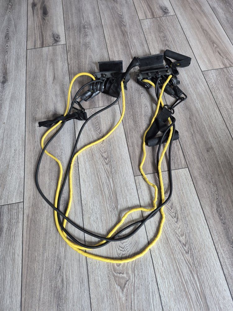 Gold's Gym exercise bands